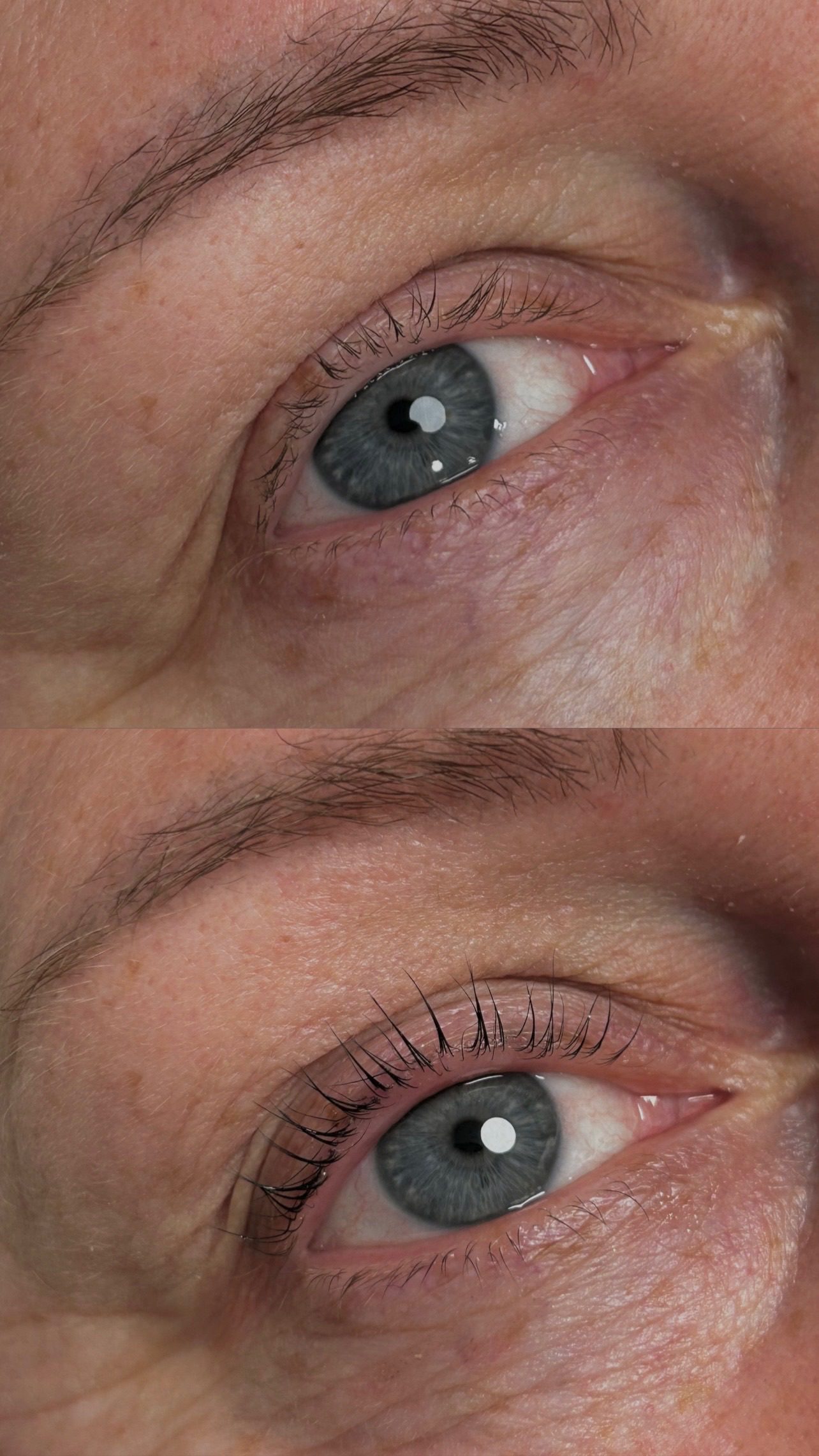 Lash Lift